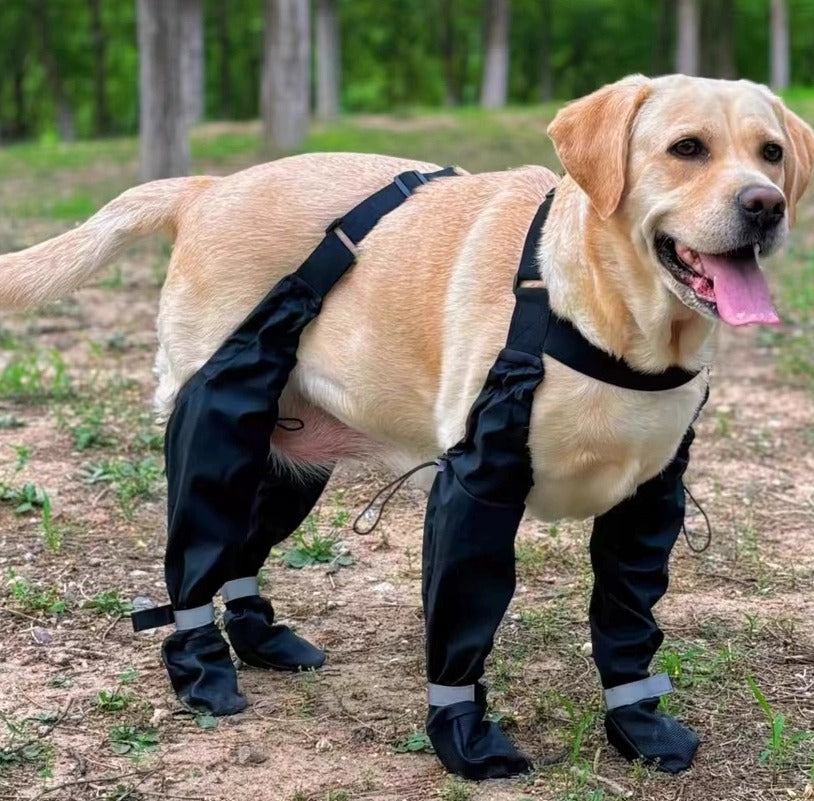 Vattentäta Hundskor 4 i 1 – Stabilt skydd för alla väder