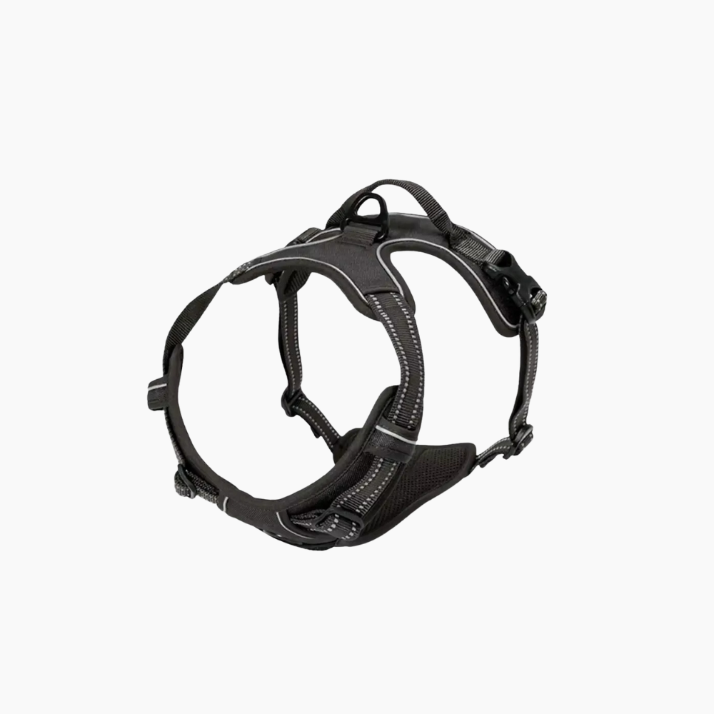 Reflekterande hundsele