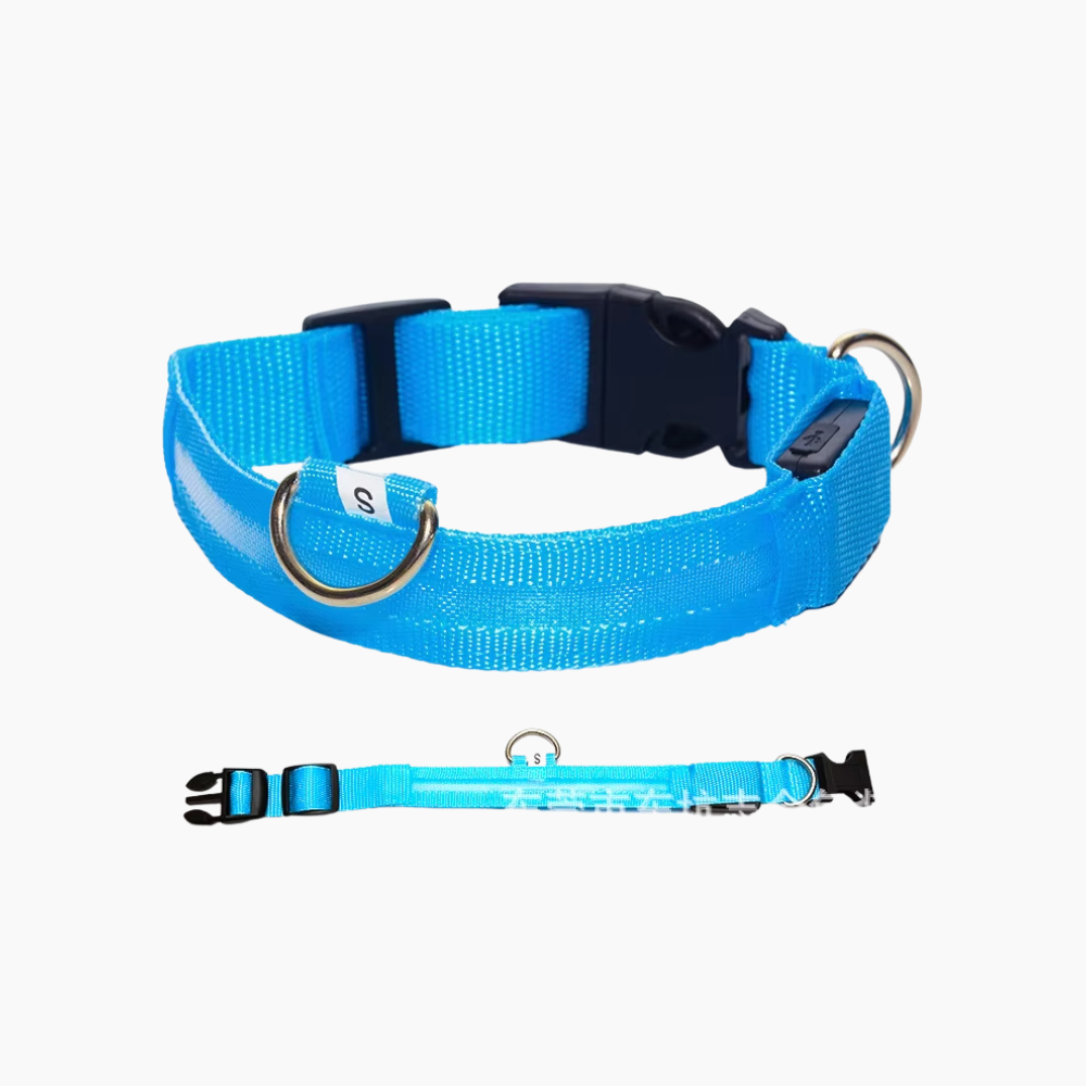 LED hundhalsband