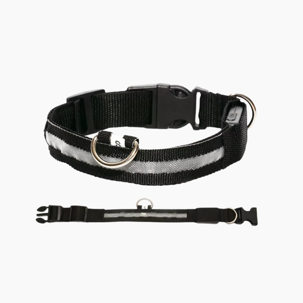 LED hundhalsband