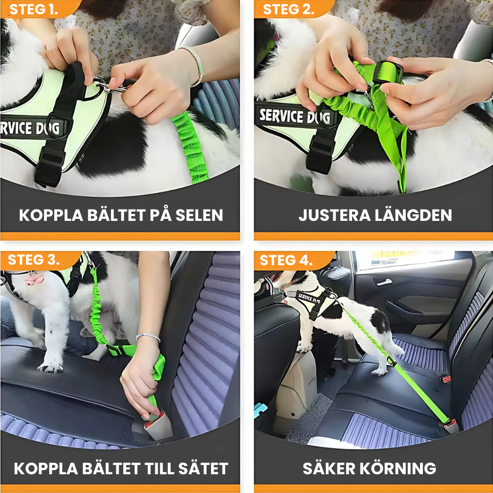 Bilbälte för hund