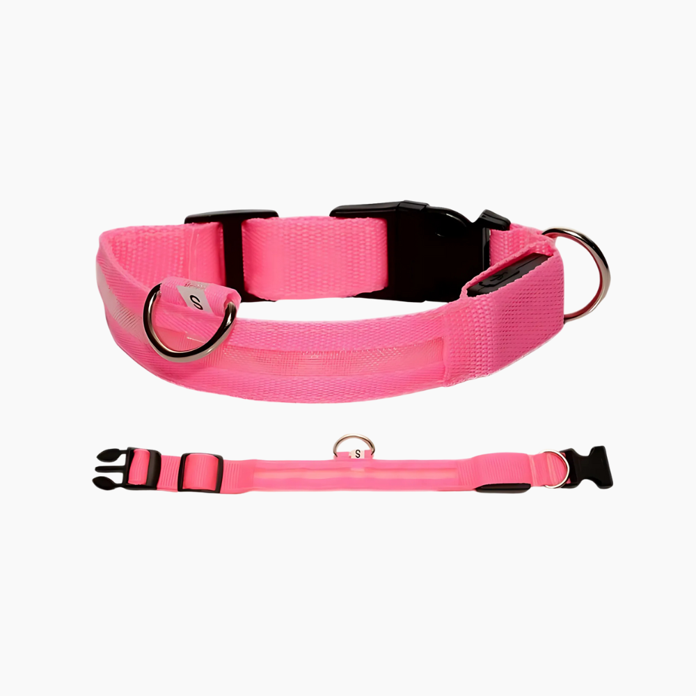 LED hundhalsband