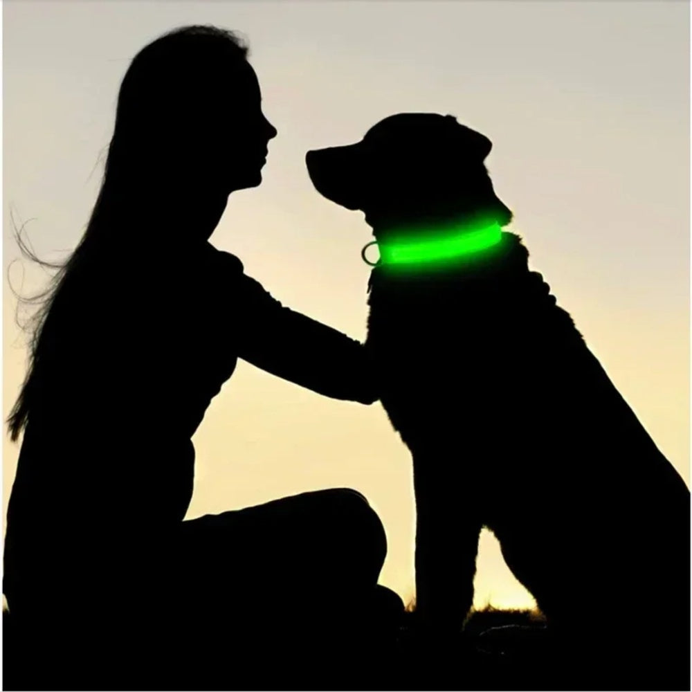 LED hundhalsband