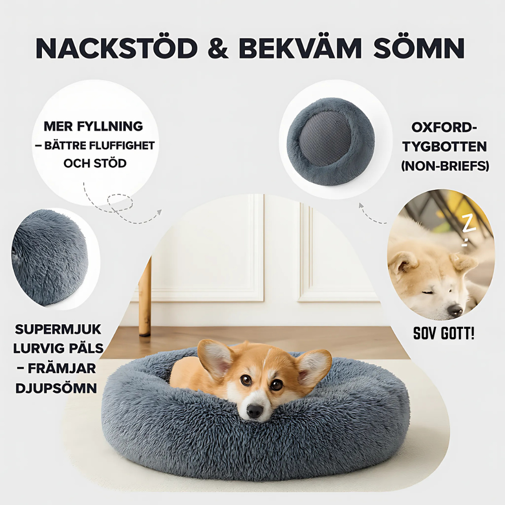 Hundbädd i plysch