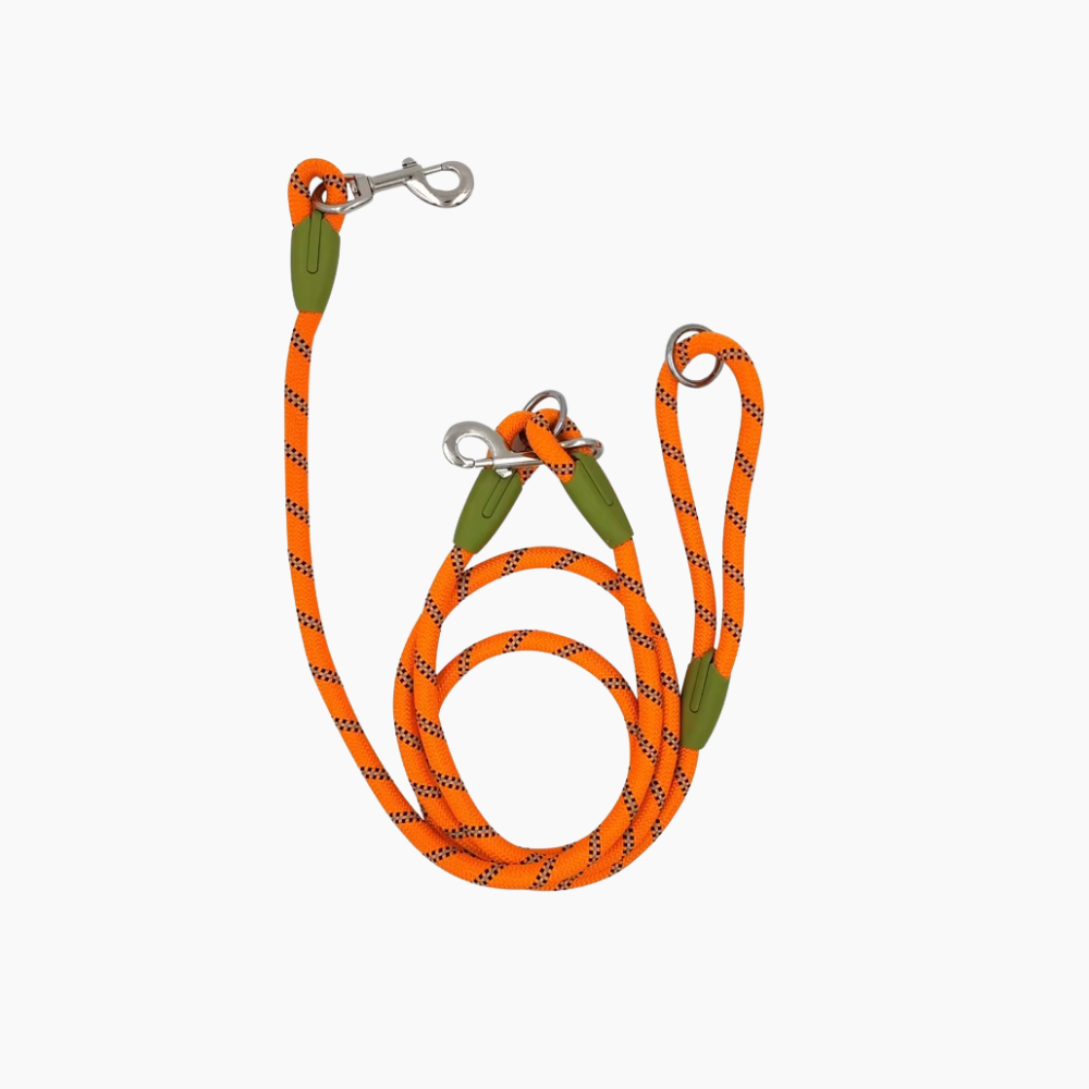 Handsfree hundkoppel