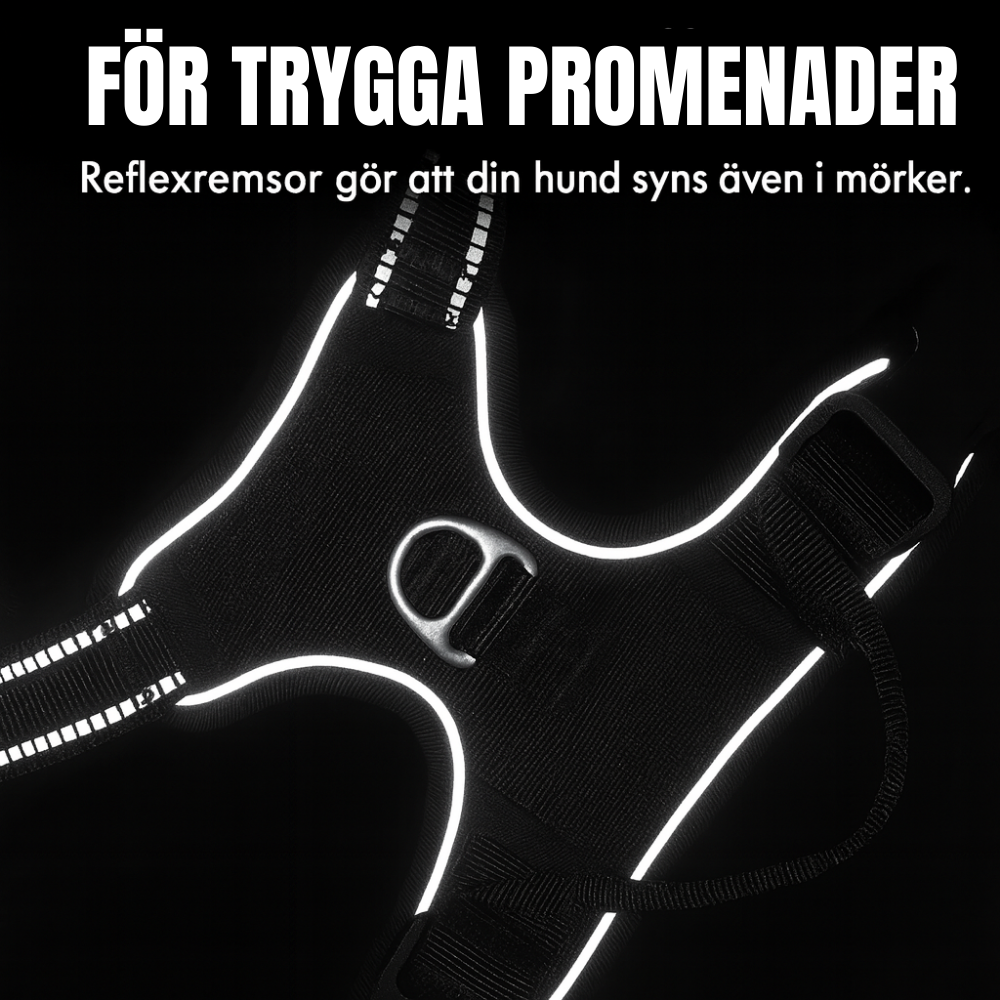 Reflekterande hundsele