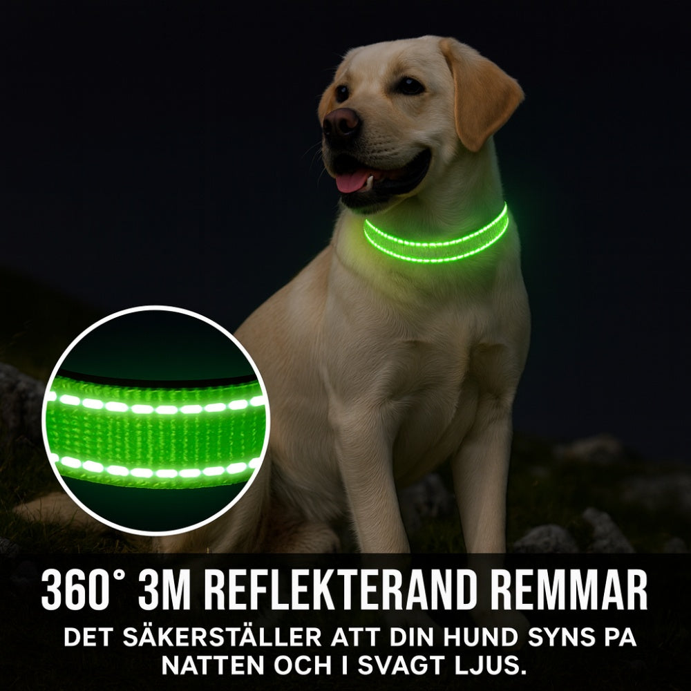 Hundhalsband reflex